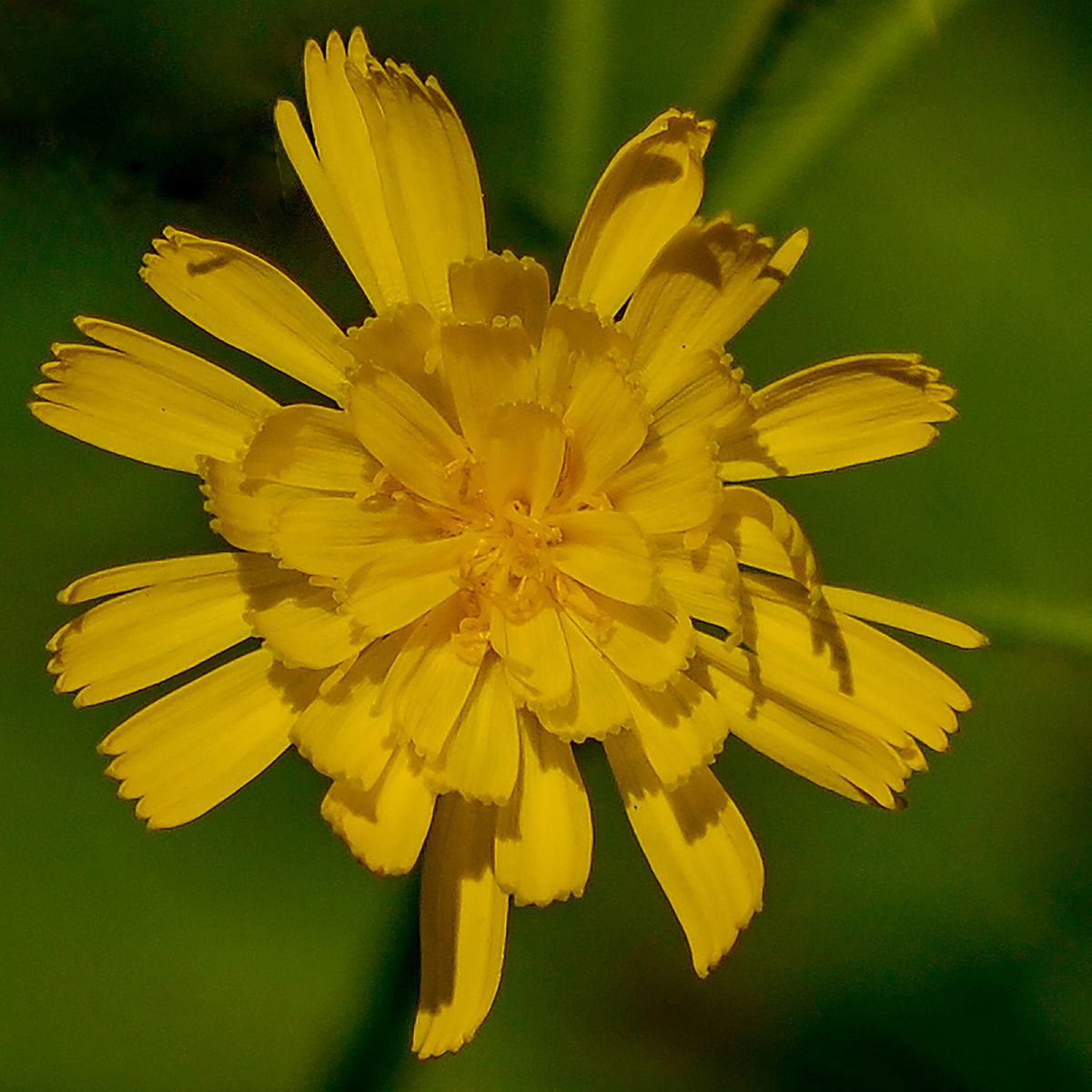 Cascade Riv. St. P., MN, 2011, 20” x 20”, DSC_0729