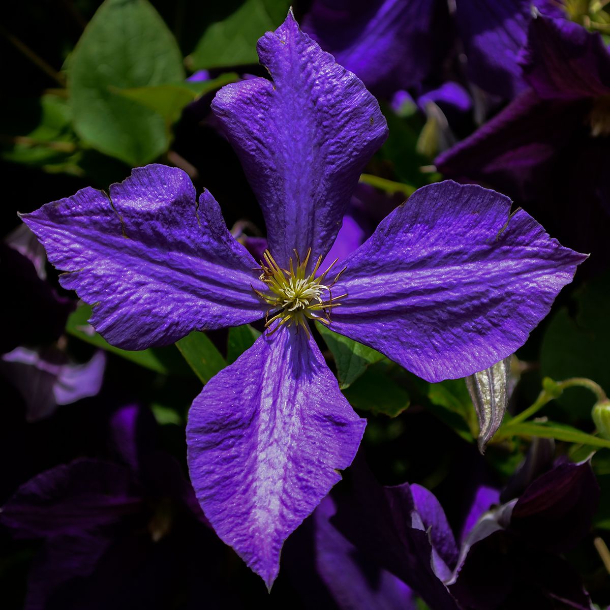 Minneapolis, MN, 2011, 20” x 20”, DSC_0549  