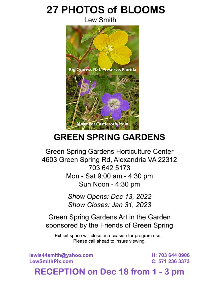 Green Spring Garden Solo media card 