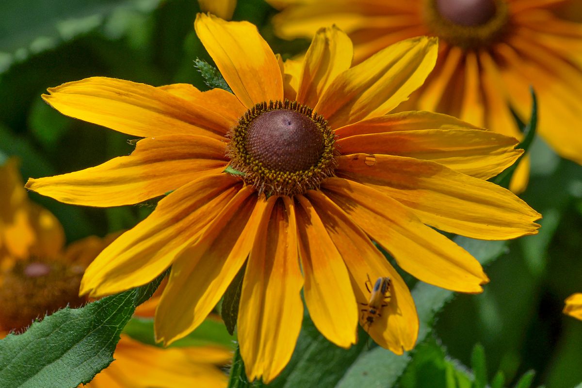 Minneapolis, MN, 2012, 24” x 16”, DSC_5397