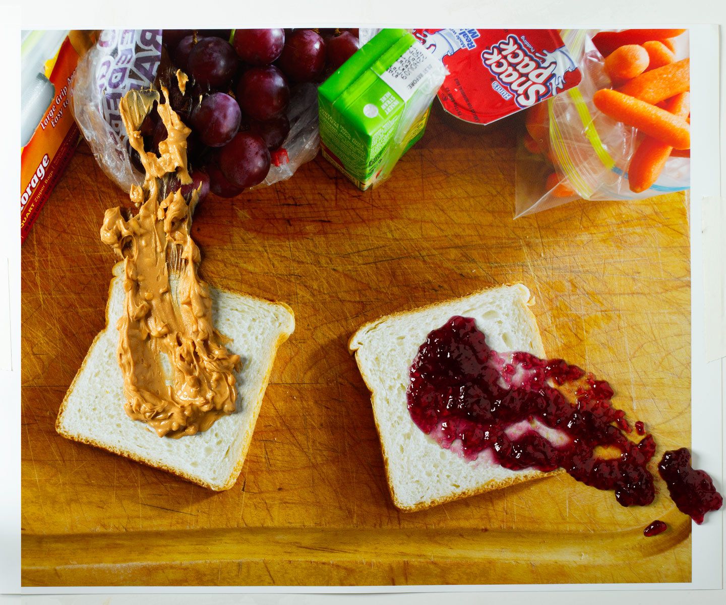 1conceptual_food_pbj_sandwich.jpg