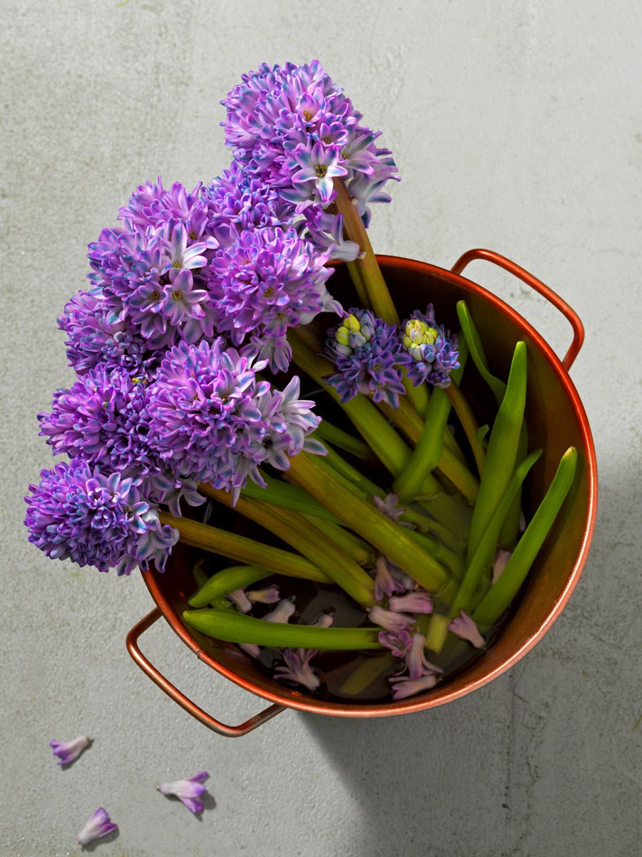 12-flowers_bucket_still_life.jpg