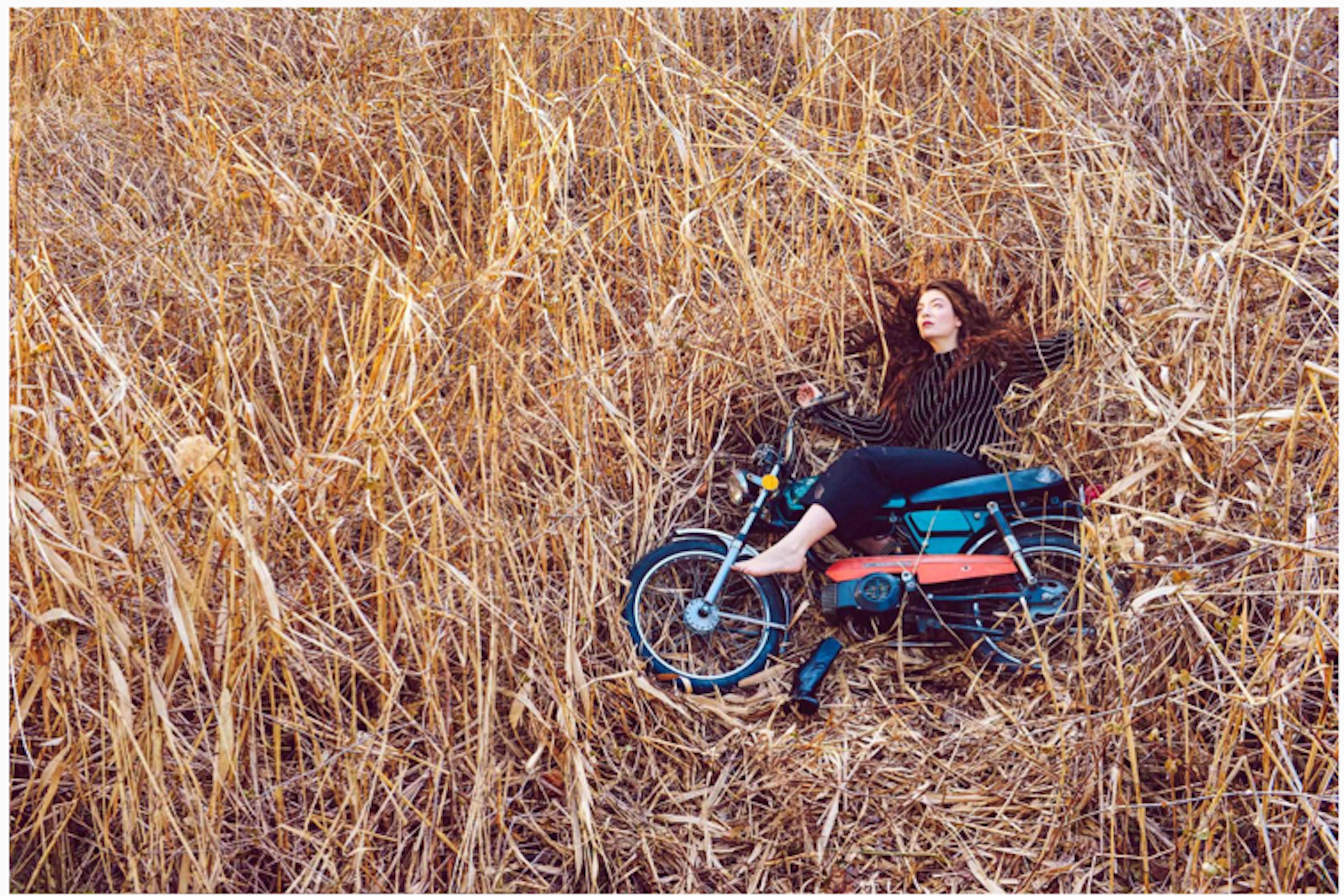 Screen Shot 2018-11-01 at 9.25.48 PM.png