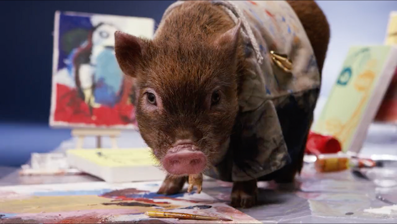 Screen Shot 2024-03-12 at 9.46.23 PM.png