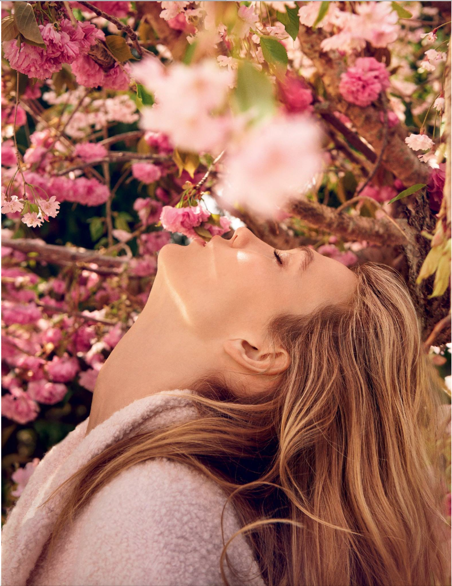 Screen Shot 2017-08-30 at 2.27.44 PM.png