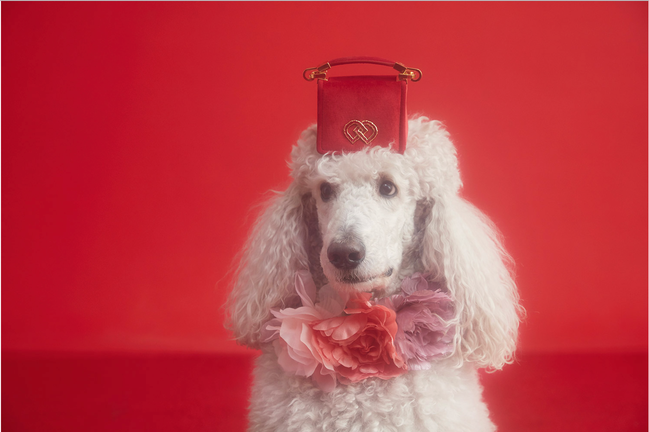 Screen Shot 2017-07-20 at 5.35.28 PM.png