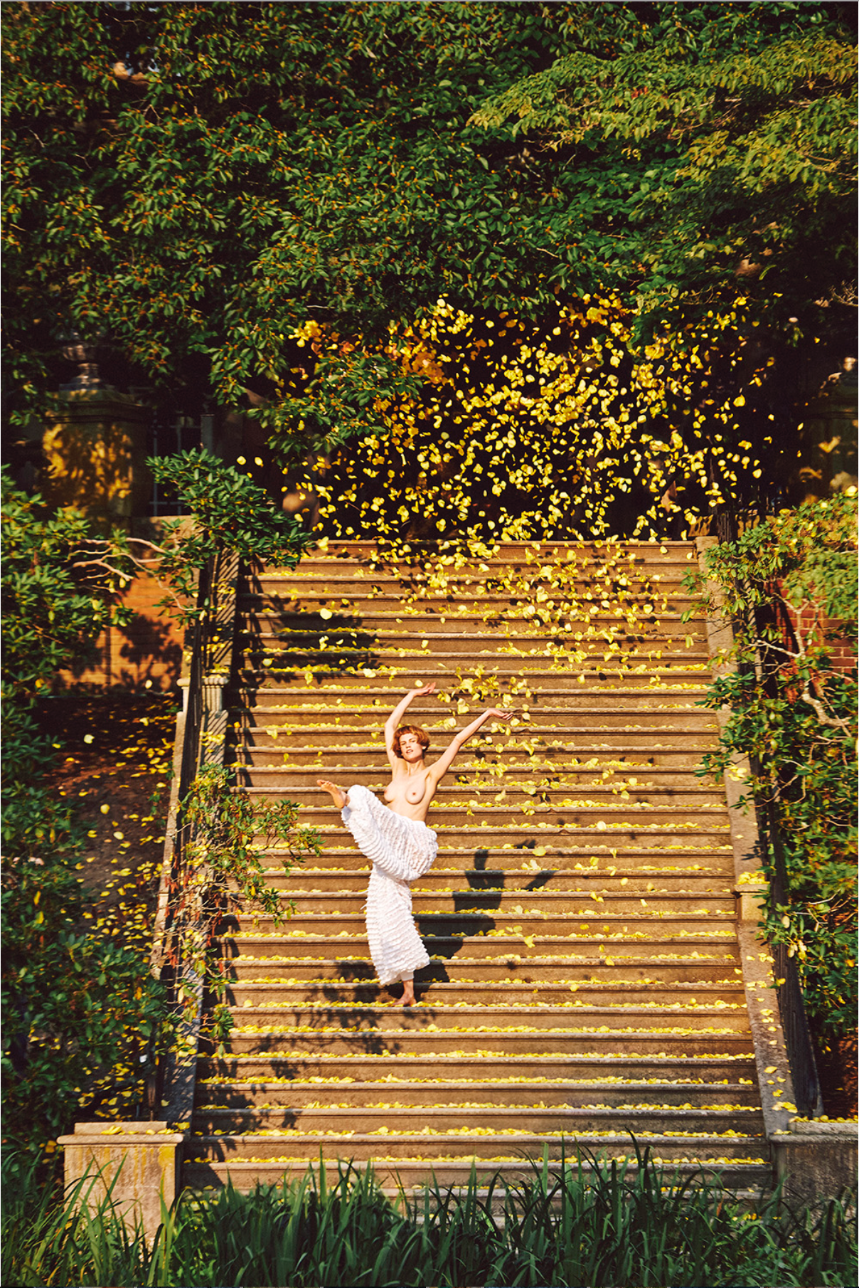 Screen Shot 2017-08-30 at 12.19.35 AM.png