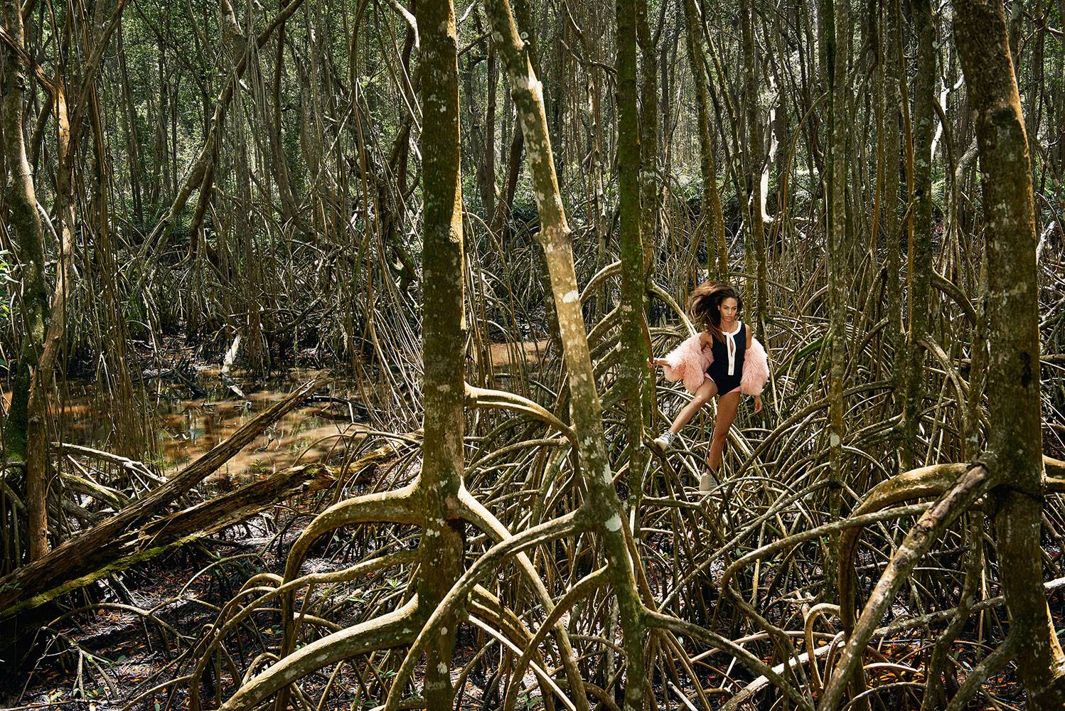 20150408_Porter_Mangrove_0485_02_RGB.jpg