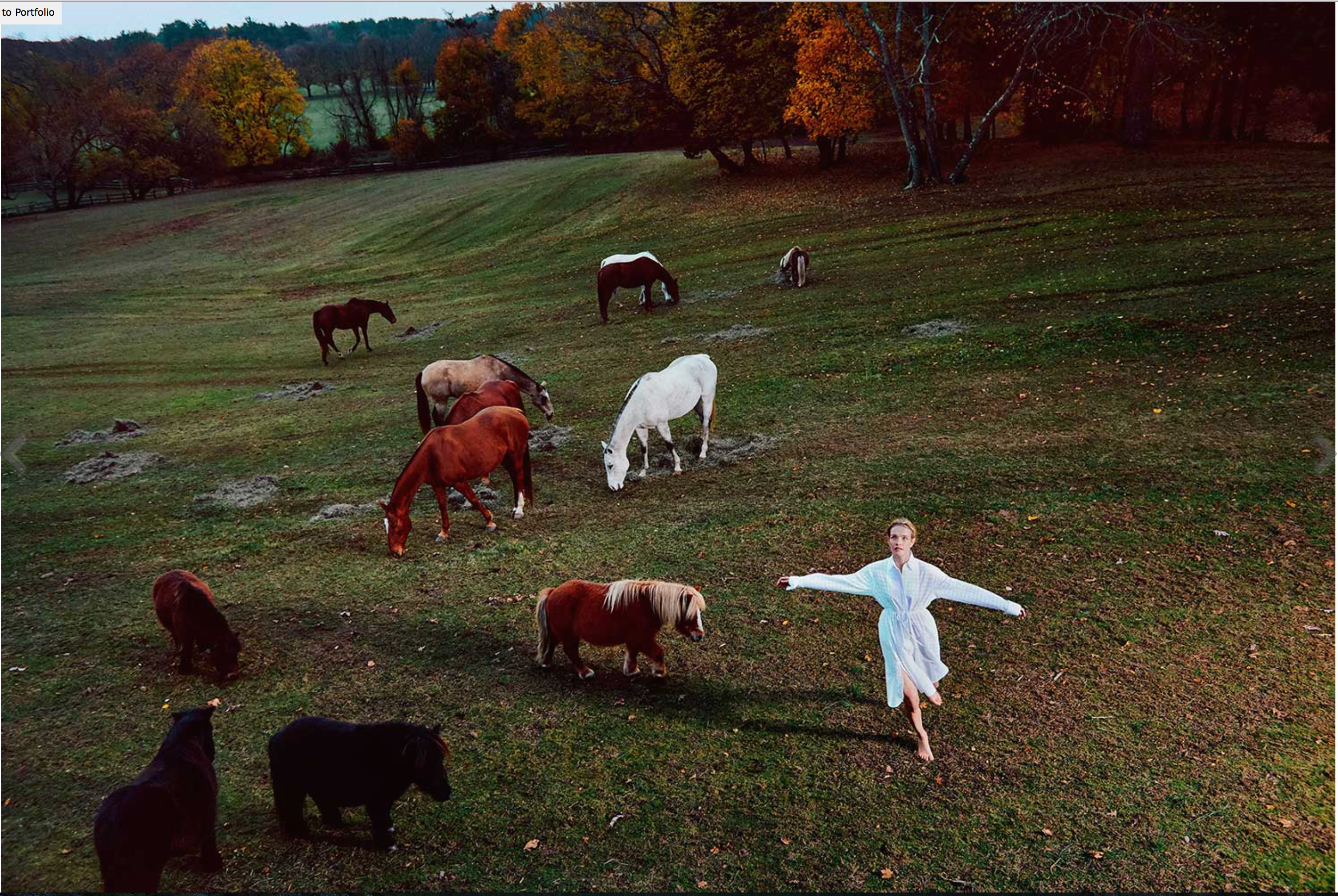 Screen Shot 2017-08-29 at 11.50.10 PM.png