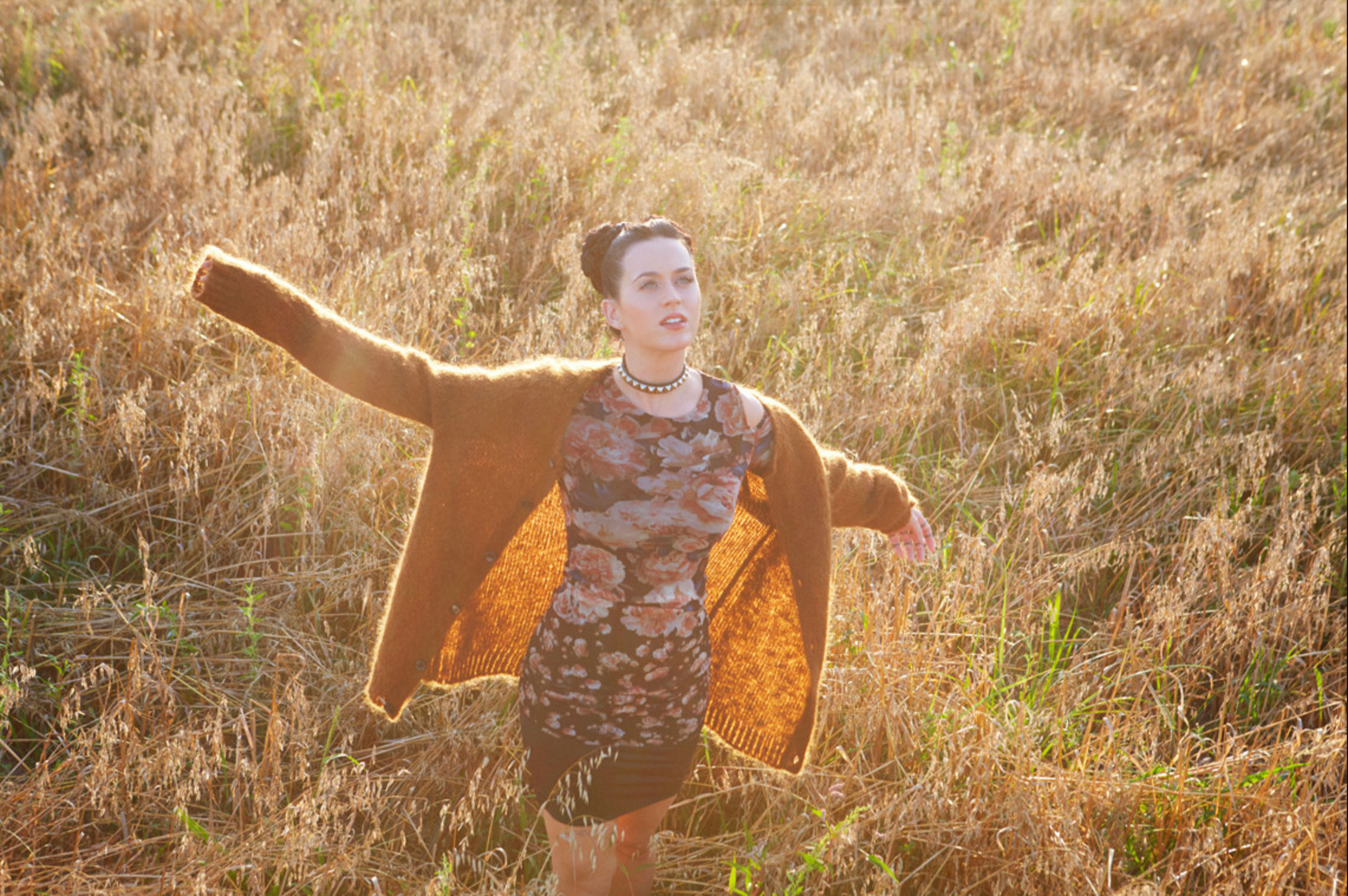 Screen Shot 2017-08-30 at 6.02.56 .png