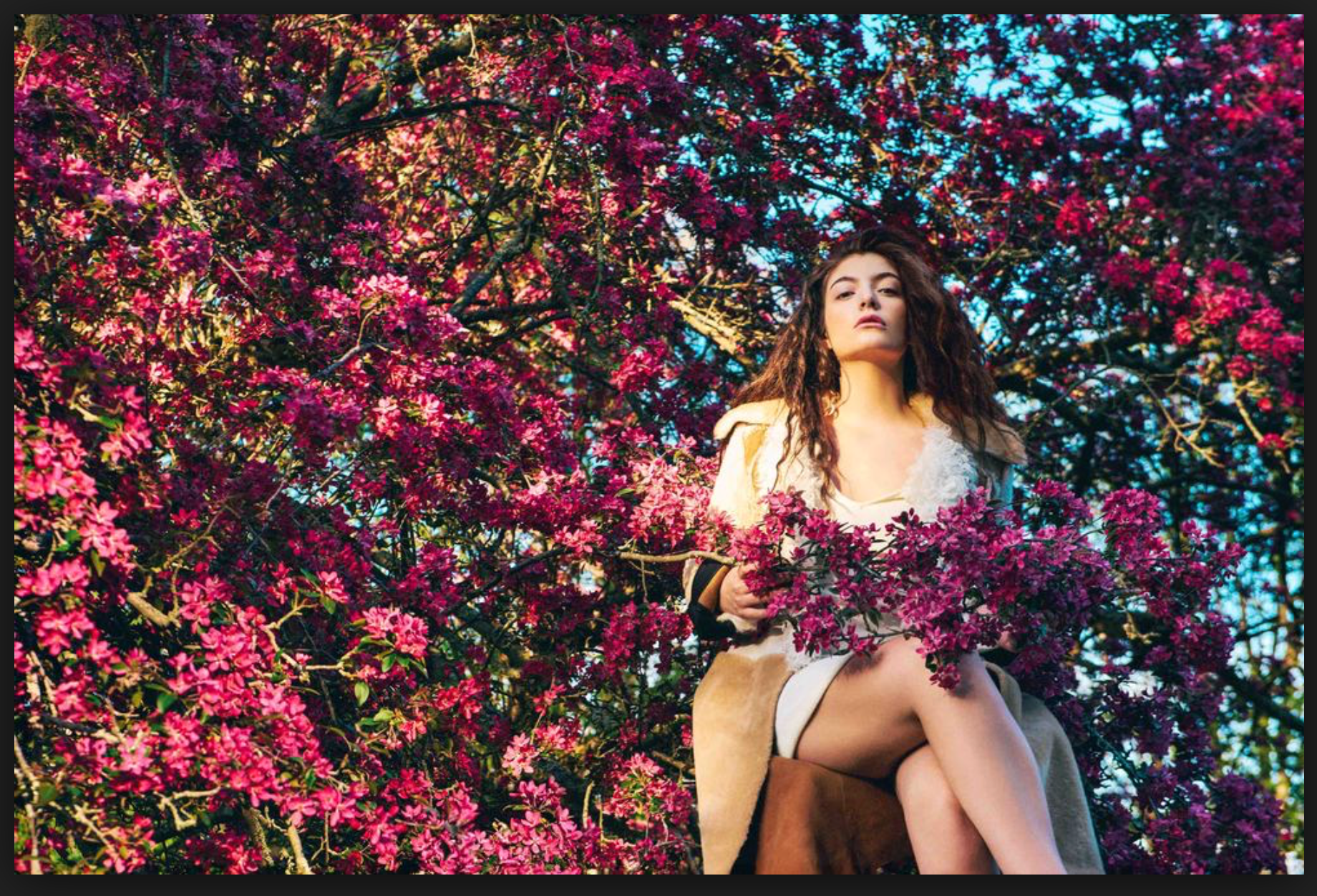 Screen Shot 2018-10-17 at 9.56.13 AM.png