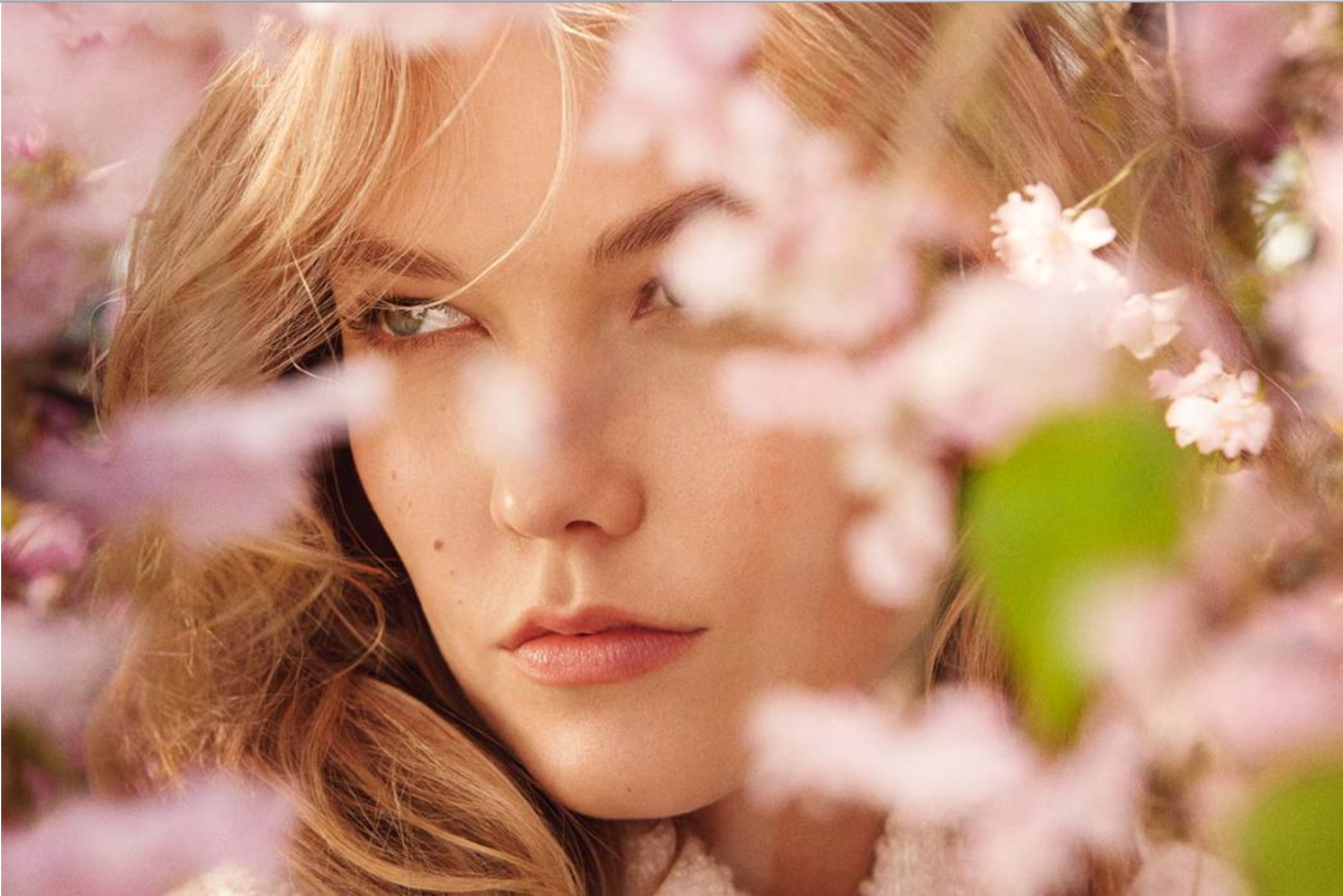 Screen Shot 2017-08-30 at 2.36.05 PM.png