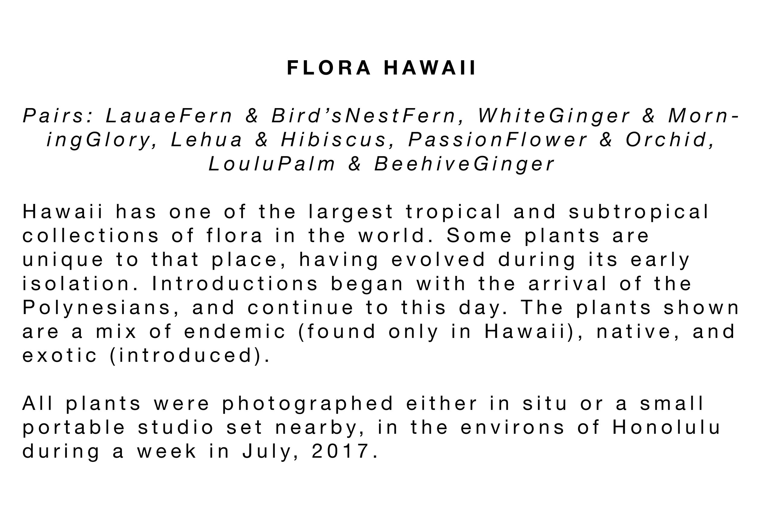 Flora Hawaii Statement