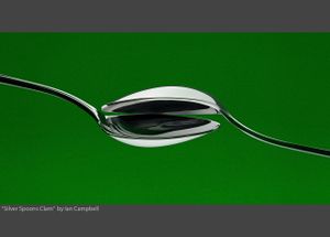 SILVER SPOONS CLAM.jpg