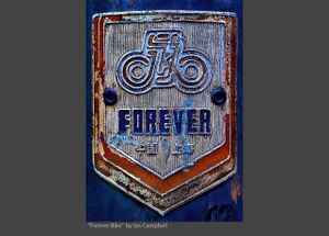 FOREVER_BIKE_2020.jpg