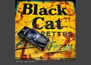 BLACK CAT.jpg