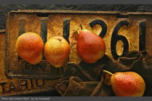 PEARS AND LICENCE PLATE.jpg
