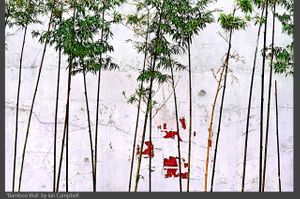 BAMBOO_WALL_2020.jpg