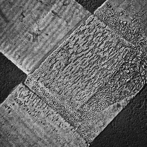 1__001827_cropped