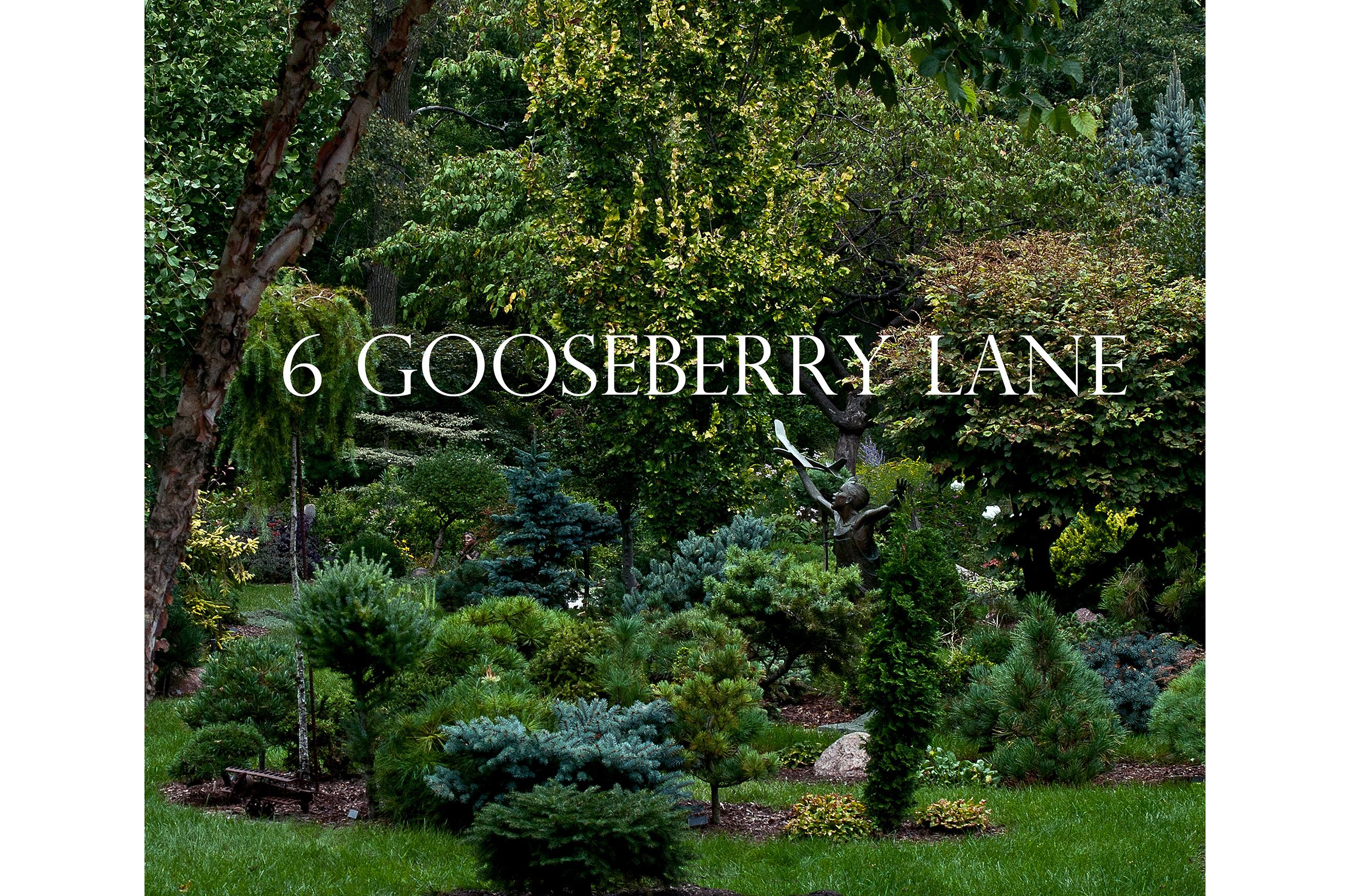 6GooseberryCover-copy.jpg