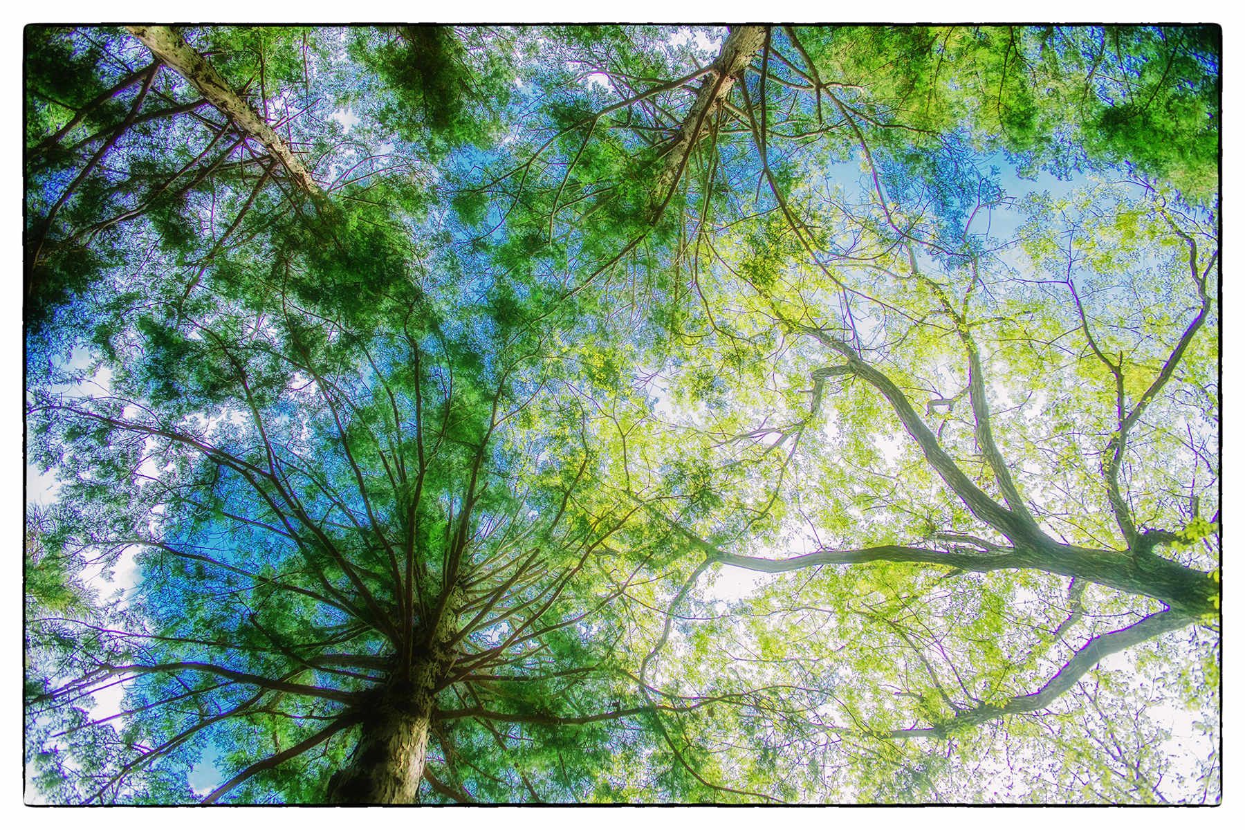 1bm9t6289_edit_2_final