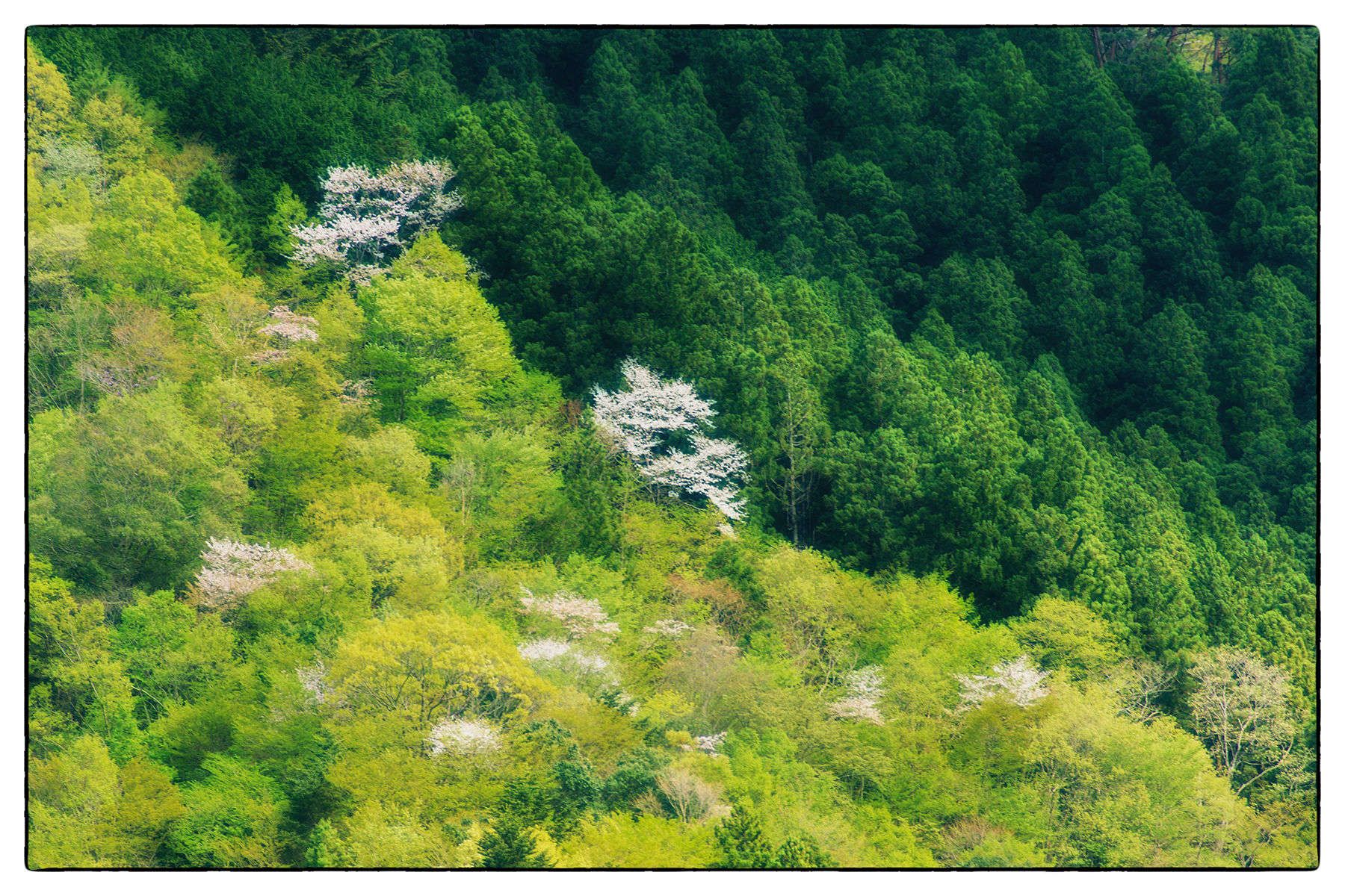 1bm9t6510_edit_final