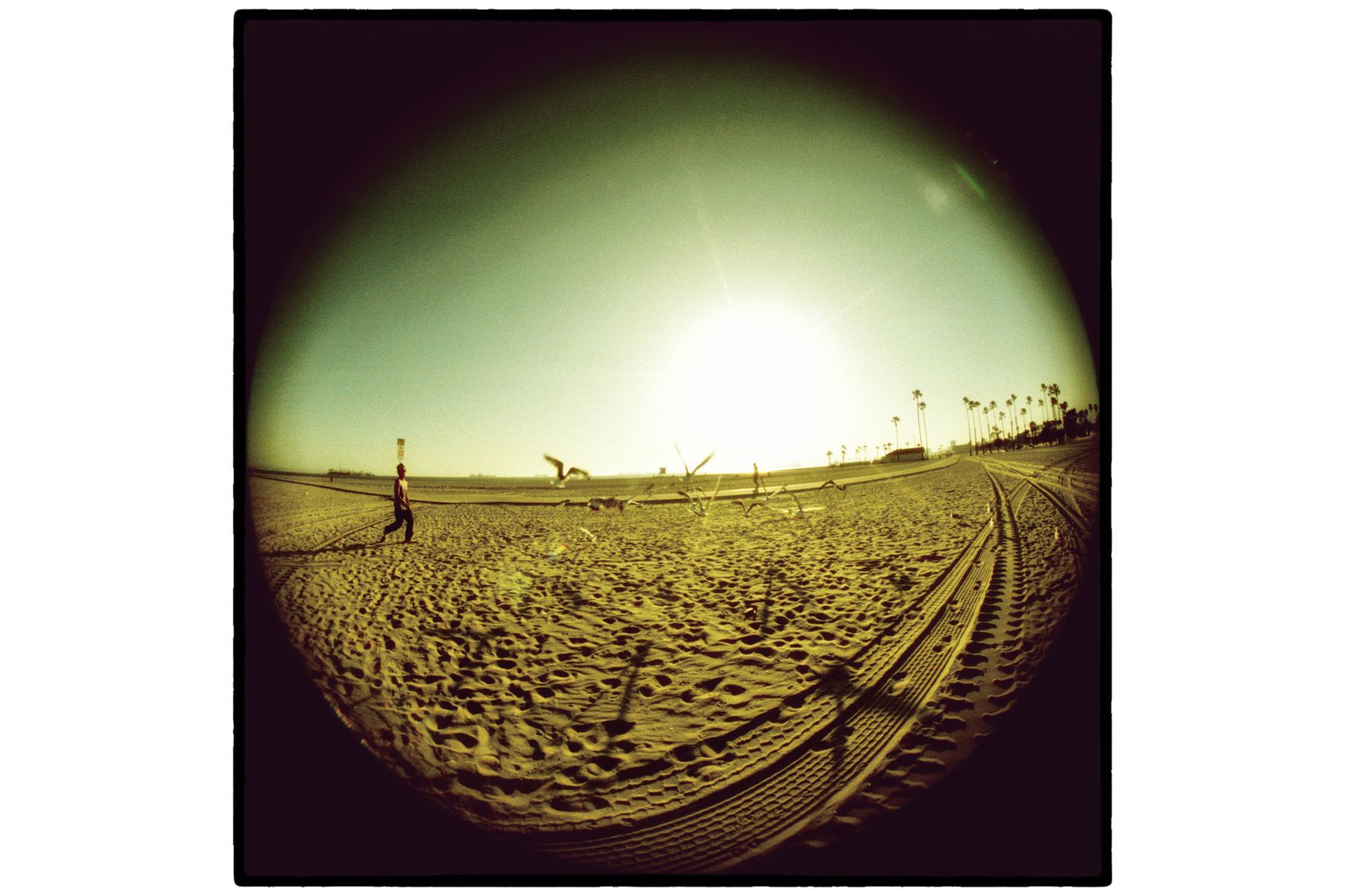 100000002_framed_cropped