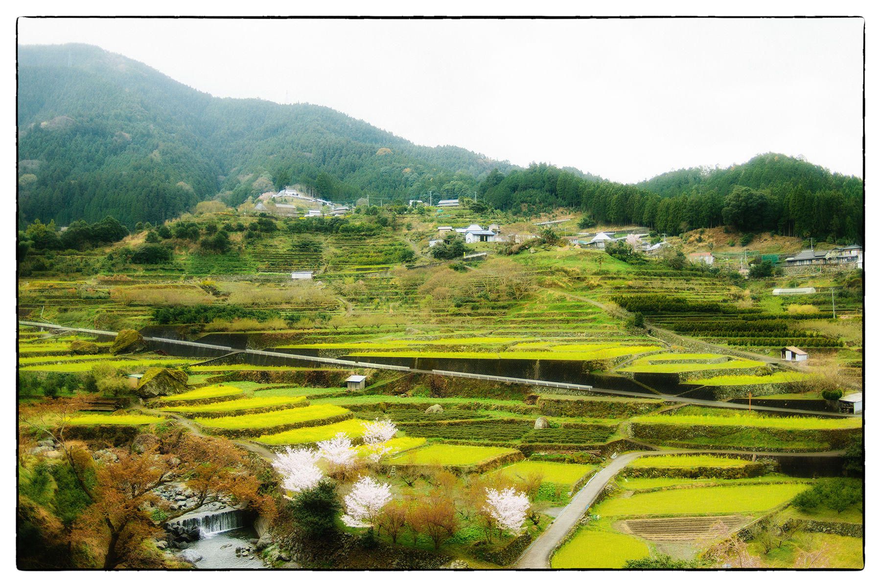 1bm9t6118_edit_final