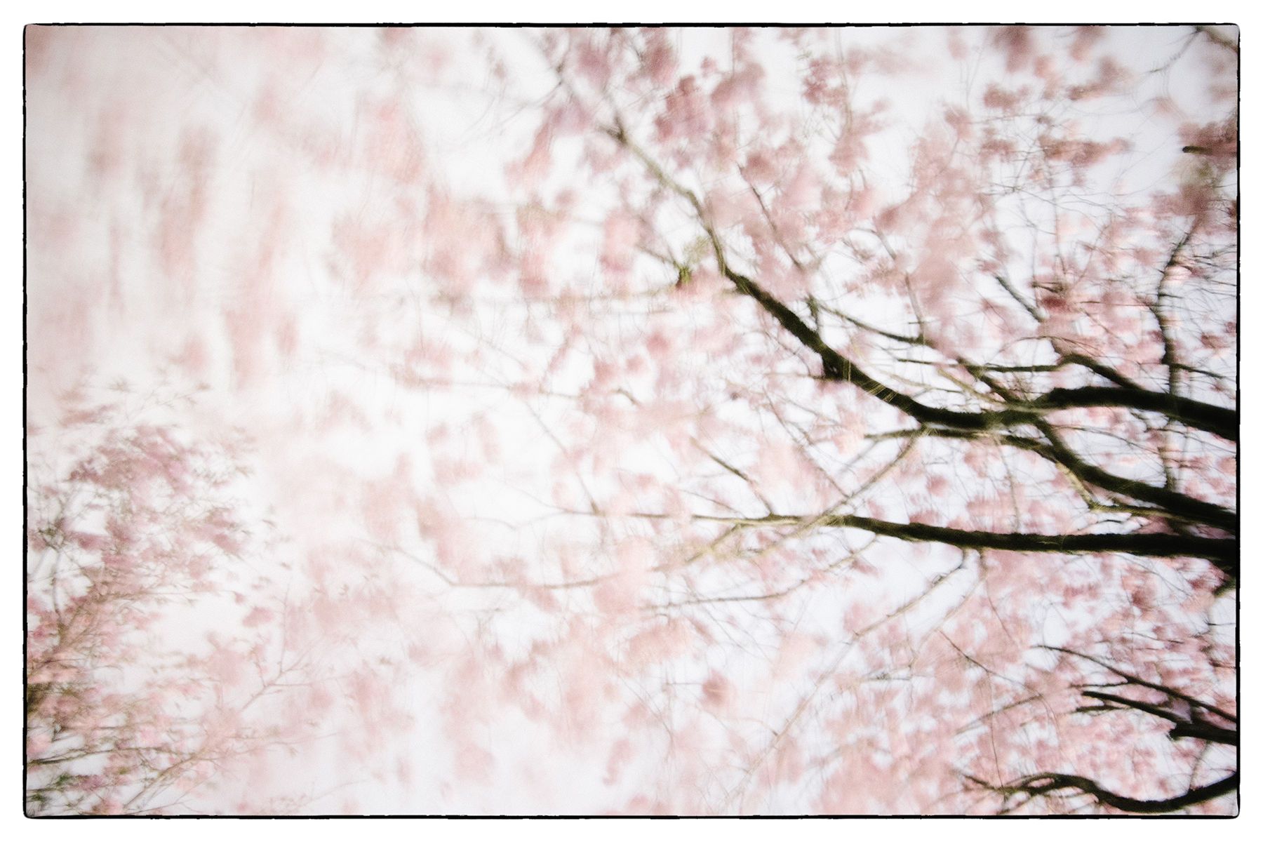 1bm9t6115_edit_2_final