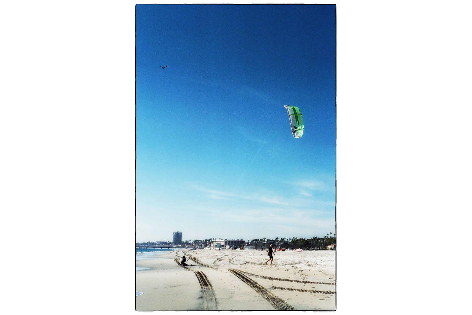 1roll001003_framed_cropped