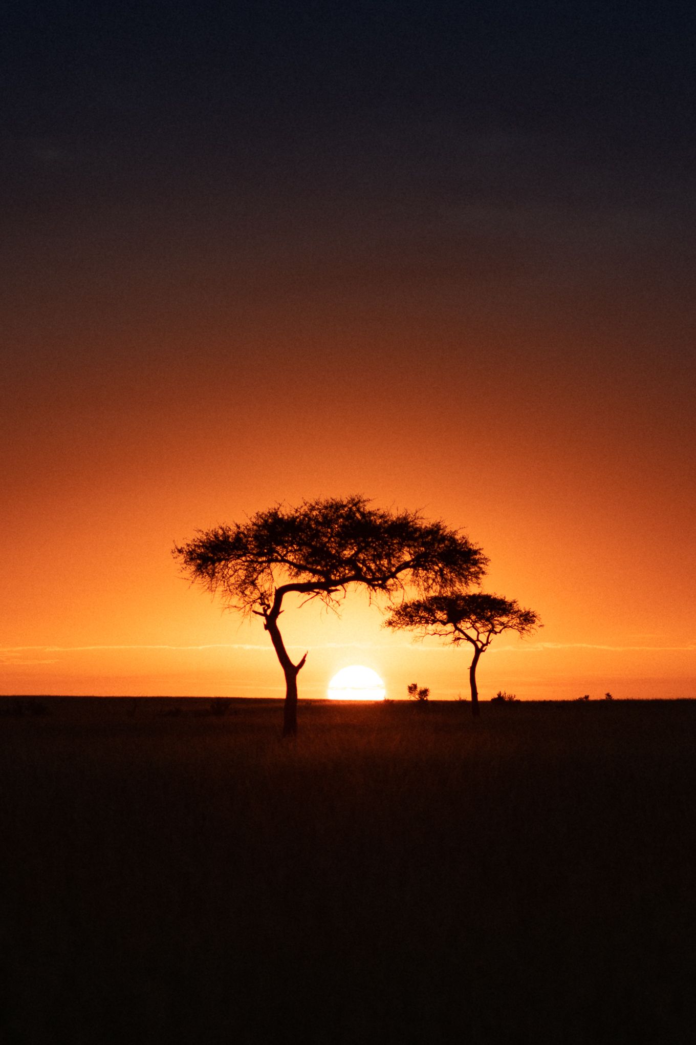 Amanecer en el Parque Masai Mara