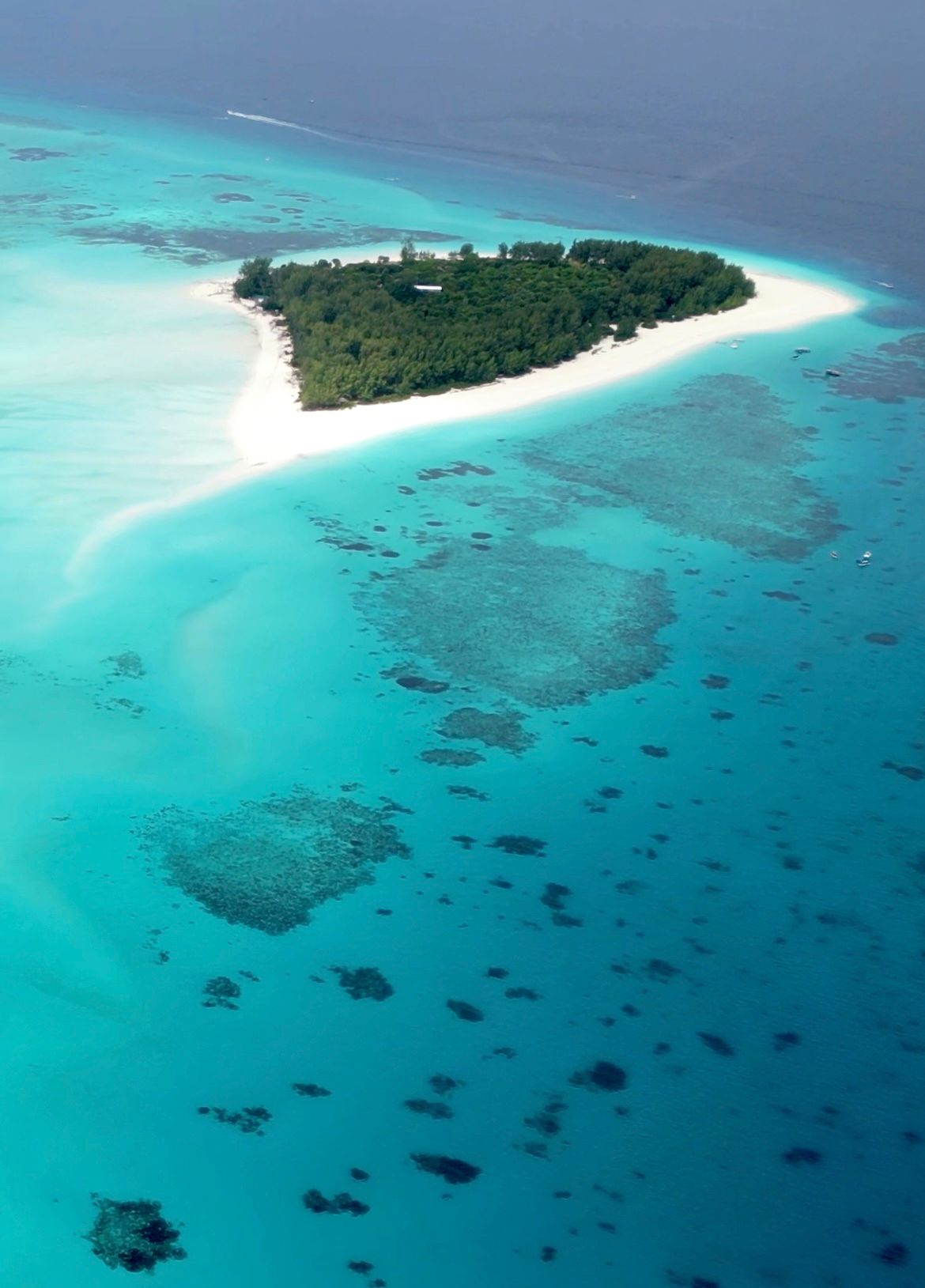 El atolón Mnemba es un atolón y un parque marino, situado en la costa noreste de Unguja, la isla más grande del archipiélago de Zanzíbar. Esta isla es famosa no solo por sus finas arenas blancas y aguas turquesas, sino que también por sus increíbles arrecifes de coral que la hacen un lugar mágico para realizar snorkel y conocer la vida marina. Atolón Mnemba