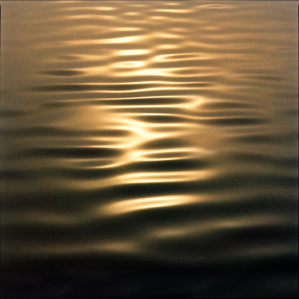 Untitled 55 
