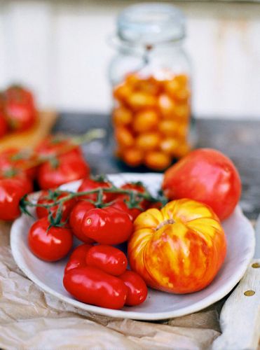 Feed Me Now Bill Granger © JOHN KERNICK NO RIGHTS GRANTED