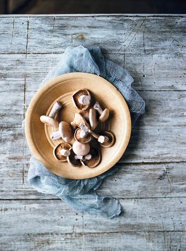 Feed Me Now Bill Granger © JOHN KERNICK NO RIGHTS GRANTED