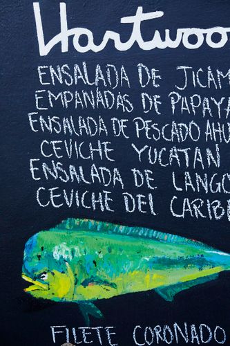 Portrait of Pineapple Man   Williams-Sonoma Open Kitchen   Hartwood RestaurantTulum Mexico 2016