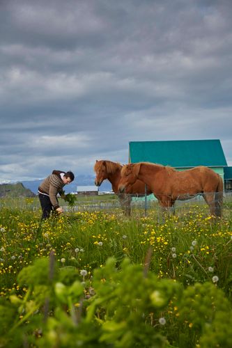 A150713_Iceland Victoria Eliadottir. Westerman Islands