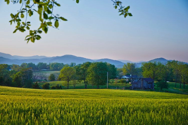 Jose Andres at Michael Shaps Winery. A140507_Jose_Andres_VA_FW