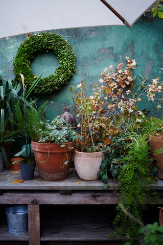 Gardening, Flower arranging, Tyler Florence, 