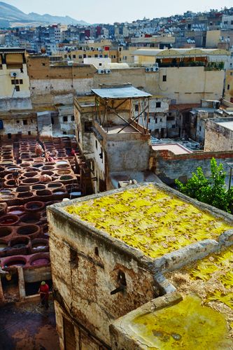 Tanneries. Fez. Medina