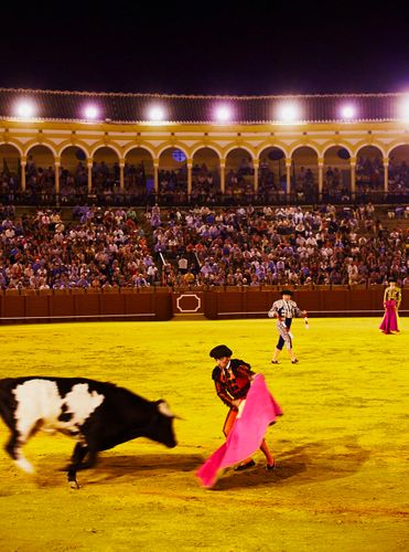 Maestranza (Bullring) Bullfight For young Bulls And young Matadors MT 7320 Seville