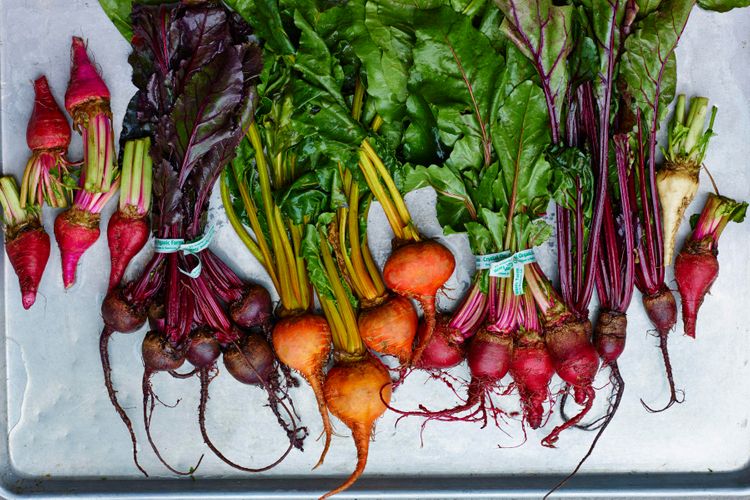 Raw Beets Root Profile A130709 Root To Leaf Winter 2013