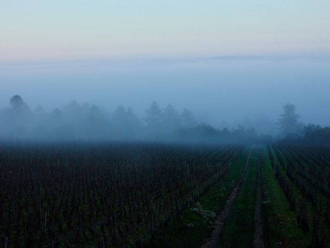 Countryside Scenics Near Beaune   A151106 WSOK   The Cooks Atelier   Beaune France