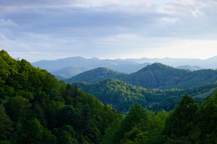 Landscapes from house at Laughing Frog Lane or Blue Ridge Mountains. A130709_RootToLeaf_Spring2014.