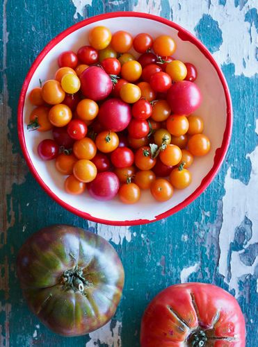 Tomato A120730_HeatherChontos_Montana_109207