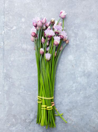 Cooking in the moment, Andrea Reusing. Clarkson Potter © John Kernick