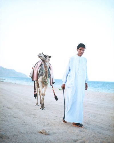 Boy with Camel. Dahab, Egypt