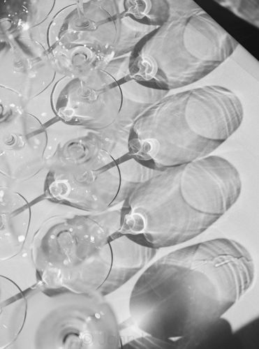 Chef Jose Andres(light blue shirt) with Luca Paschina/winemaker Email:grappa@barboursvillewine.com phone:540-832-3824 at Barboursville Vineyards. A140507_Jose_Andres_VA_FW