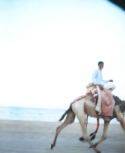 Boy running on camel. Dahab, Egypt