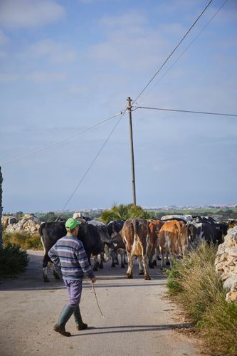 A170214_F&W_Sicily_May_2017